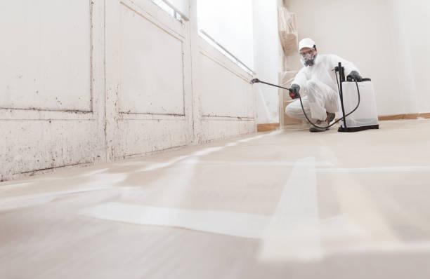 24/7 Emergency Attic Mold Remediation experts in Bayshore Gardens, FL